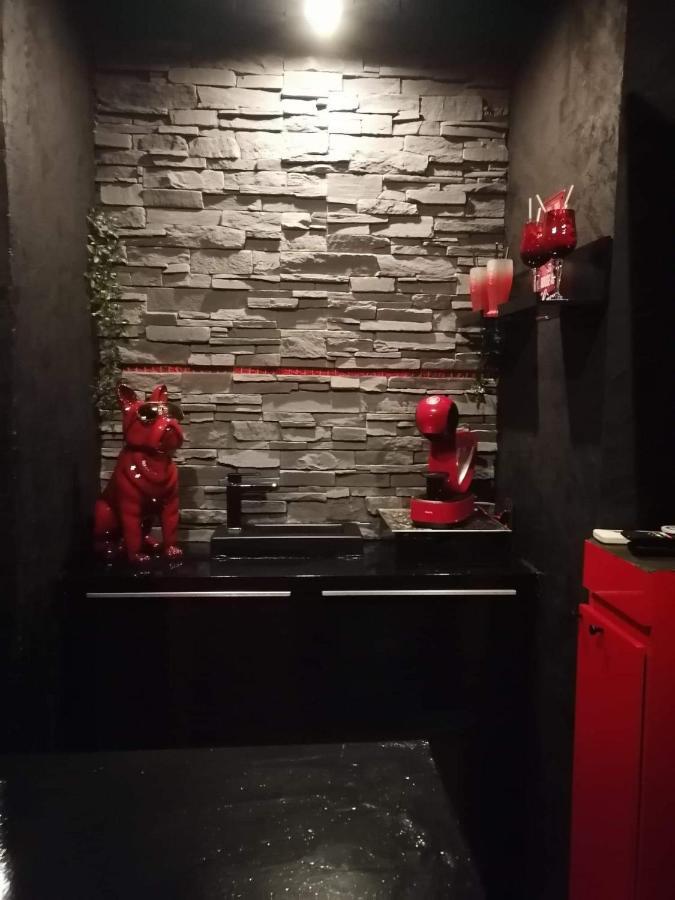 Loft Romantique Hammam Spa Privatif Playroom Гренобъл Екстериор снимка